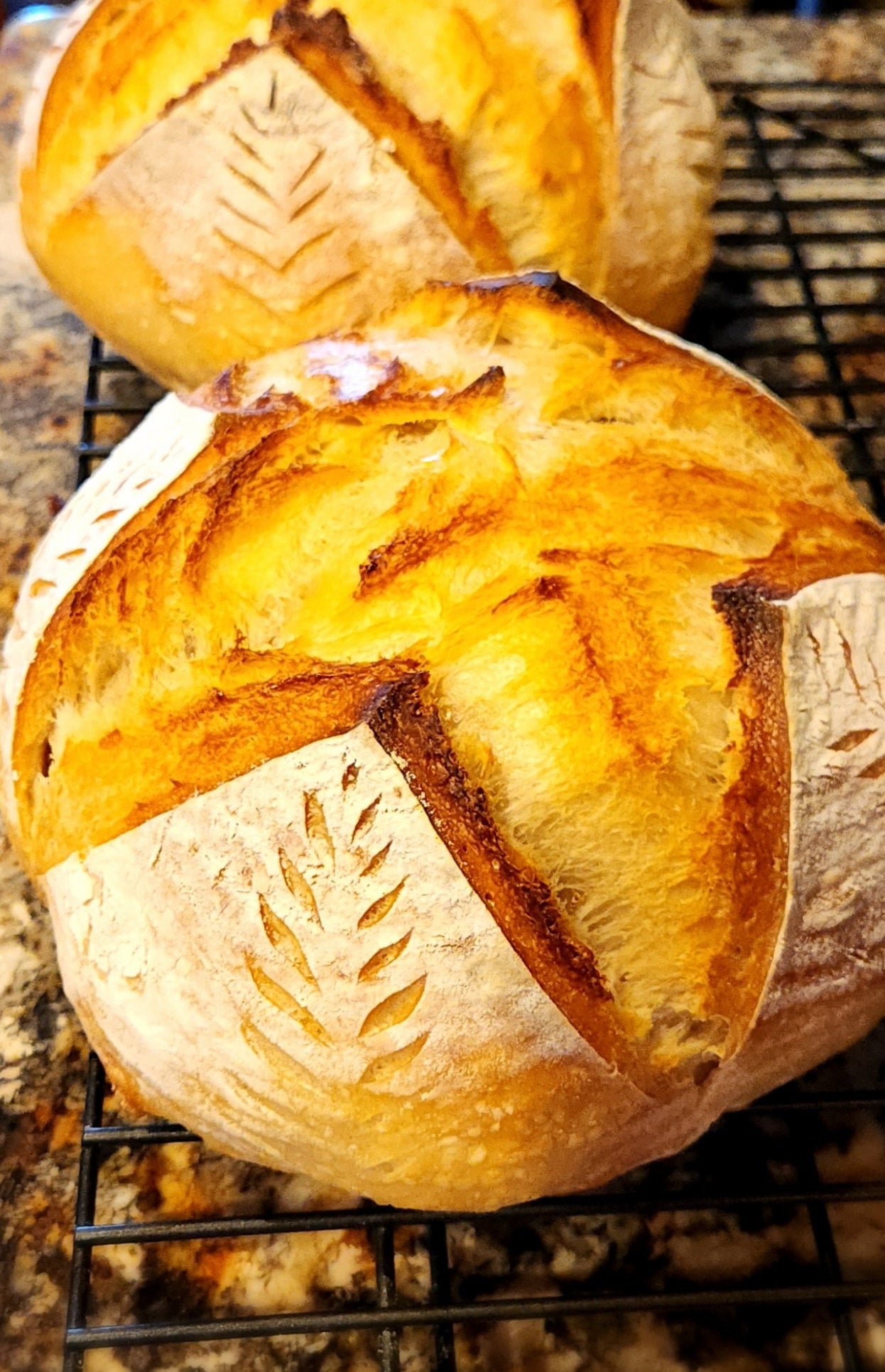 Sourdough Boule Susan S Homestyle Bakery LLC   S888270191506829735 P1 I4 W1246 